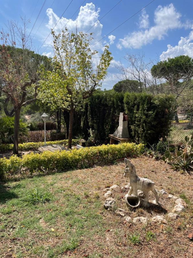 Villa Herlinda Costa Brava - With Swiming Pool Massanet De La Selva Eksteriør billede