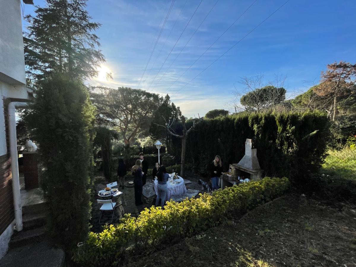 Villa Herlinda Costa Brava - With Swiming Pool Massanet De La Selva Eksteriør billede