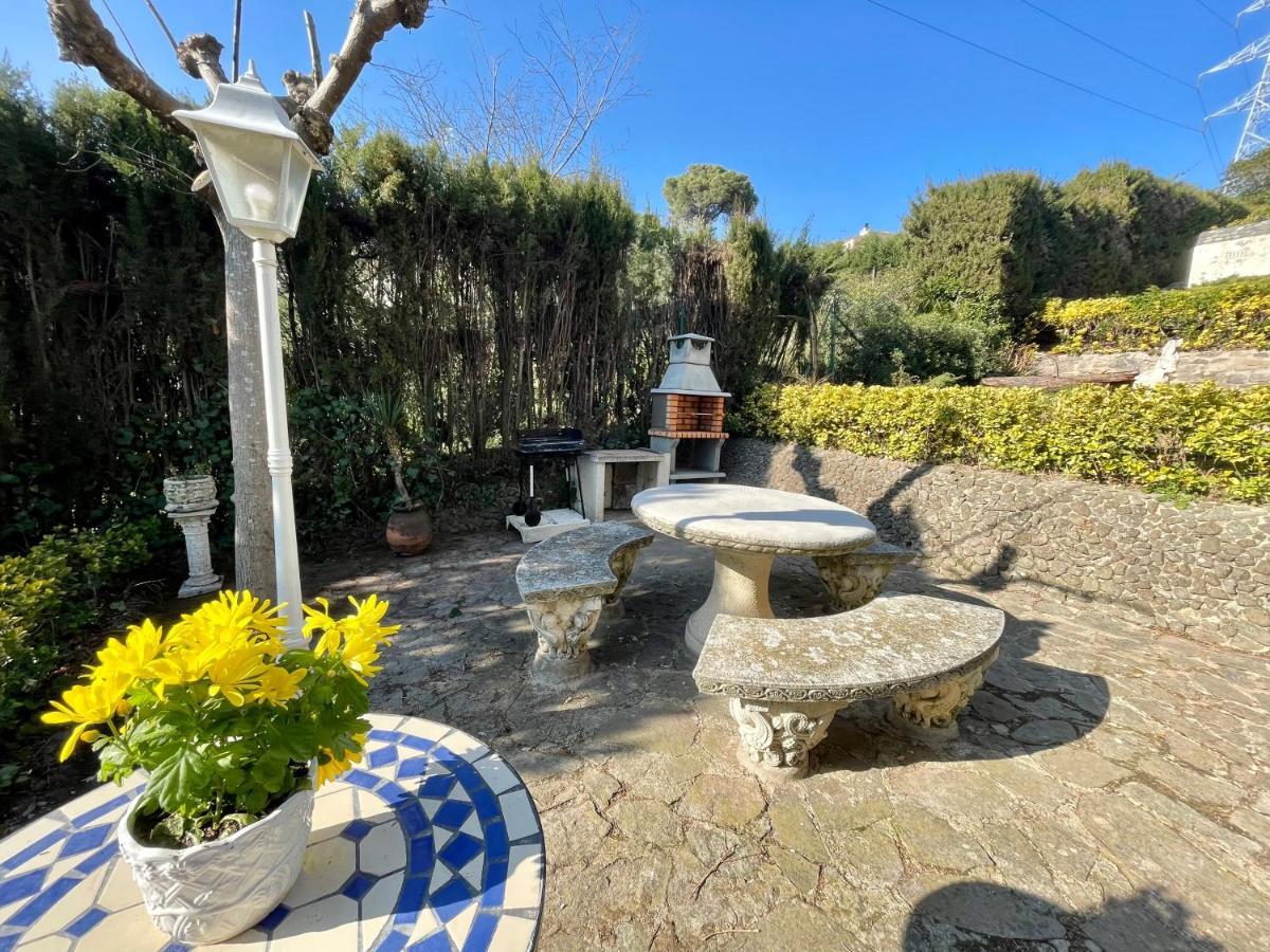 Villa Herlinda Costa Brava - With Swiming Pool Massanet De La Selva Eksteriør billede