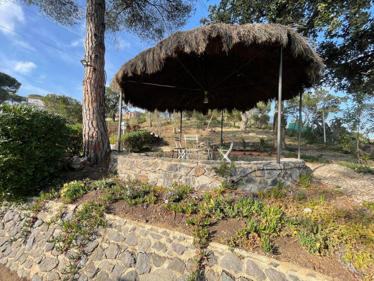 Villa Herlinda Costa Brava - With Swiming Pool Massanet De La Selva Eksteriør billede
